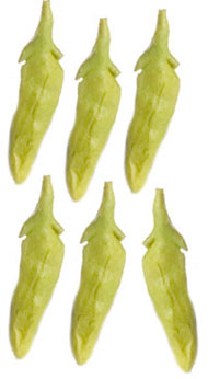 Dollhouse Miniature Snap Peas, 6Pc